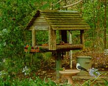 bird_feeder_mod.jpg (9285 bytes)